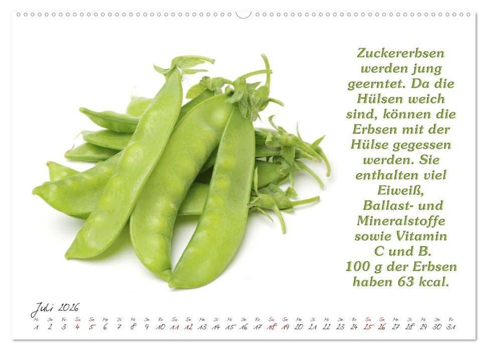 Gesund durchs Jahr (CALVENDO Premium Wandkalender 2026)