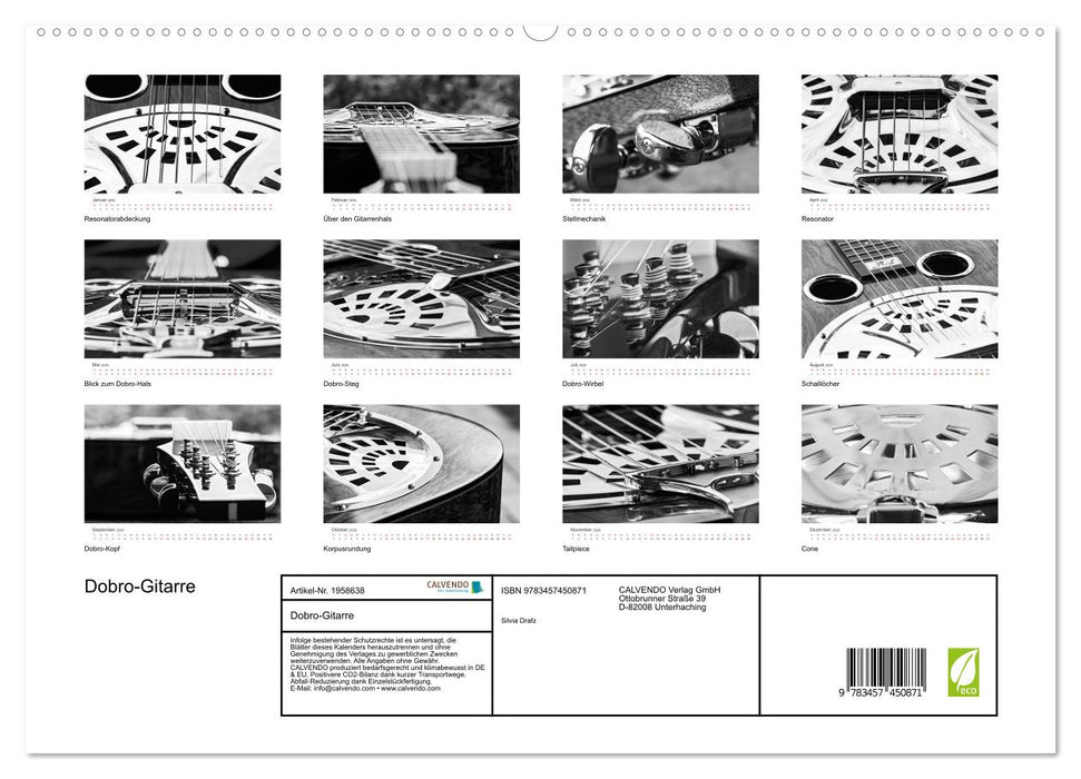 Dobro-Gitarre (CALVENDO Premium Wandkalender 2026)