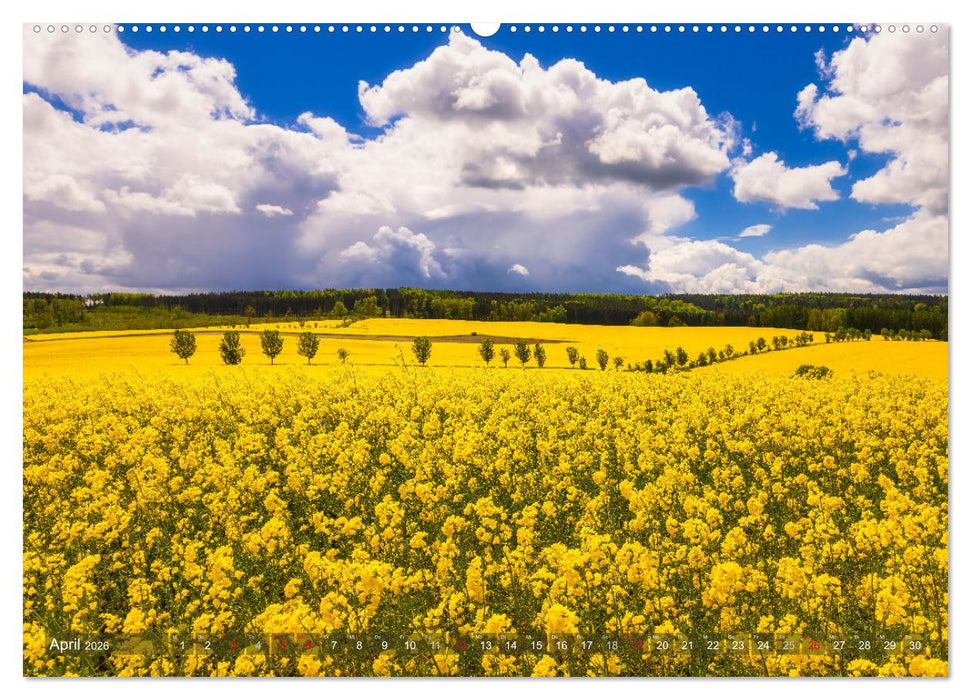 Stimmungsvolle Landschaften in Sachsen 2026 (CALVENDO Premium Wandkalender 2026)