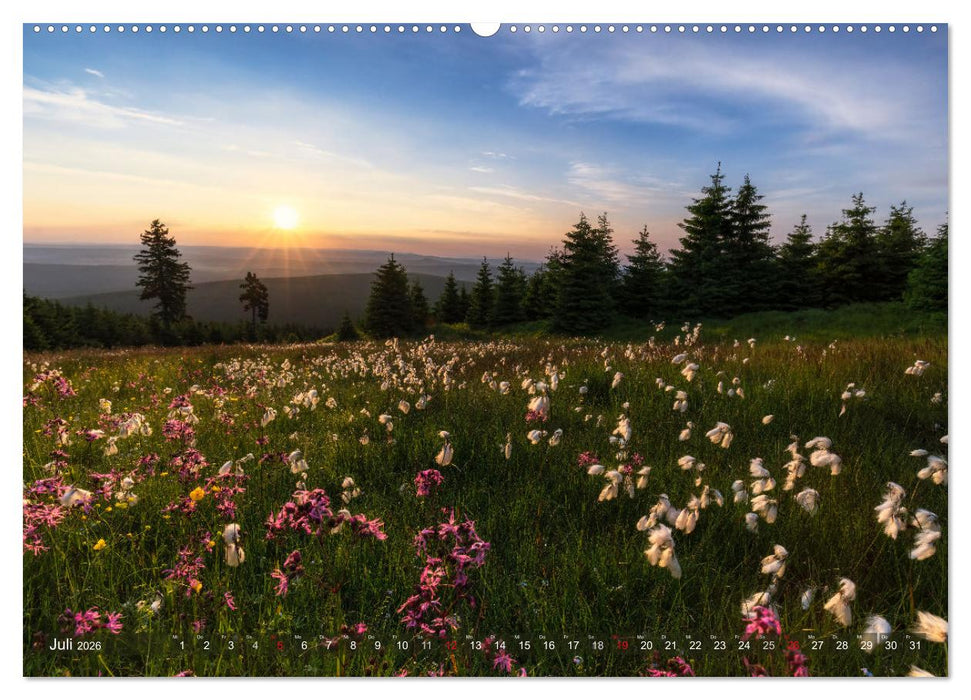 Stimmungsvolle Landschaften in Sachsen 2026 (CALVENDO Premium Wandkalender 2026)