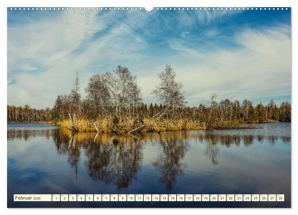 Moor und Riedlandschaften im Südwesten (CALVENDO Premium Wandkalender 2026)