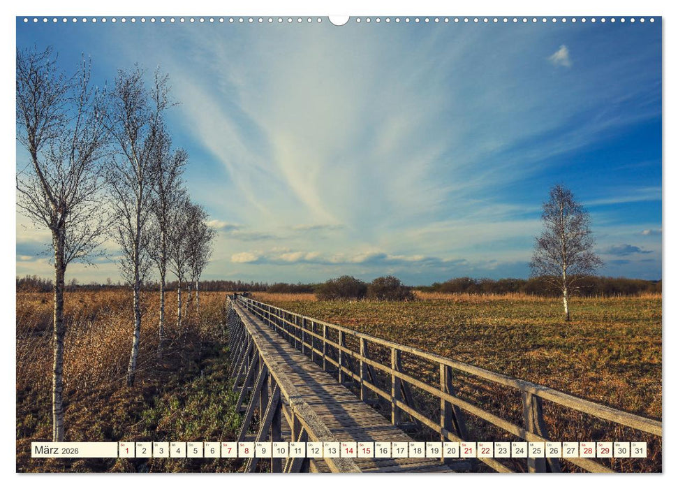 Moor und Riedlandschaften im Südwesten (CALVENDO Premium Wandkalender 2026)