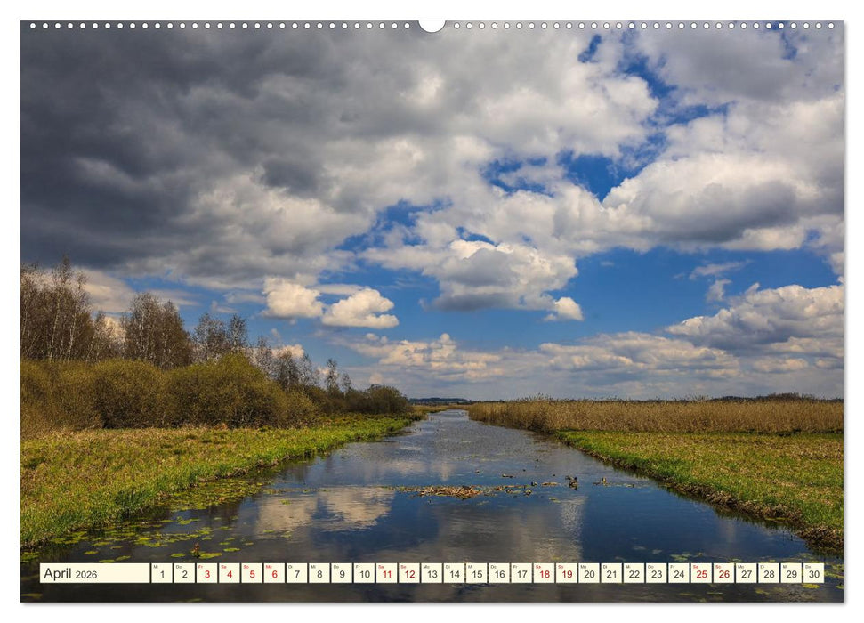 Moor und Riedlandschaften im Südwesten (CALVENDO Premium Wandkalender 2026)