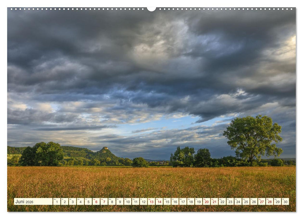 Moor und Riedlandschaften im Südwesten (CALVENDO Premium Wandkalender 2026)