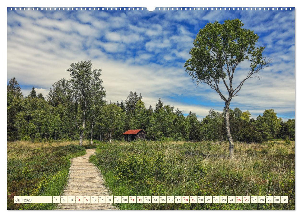 Moor und Riedlandschaften im Südwesten (CALVENDO Premium Wandkalender 2026)
