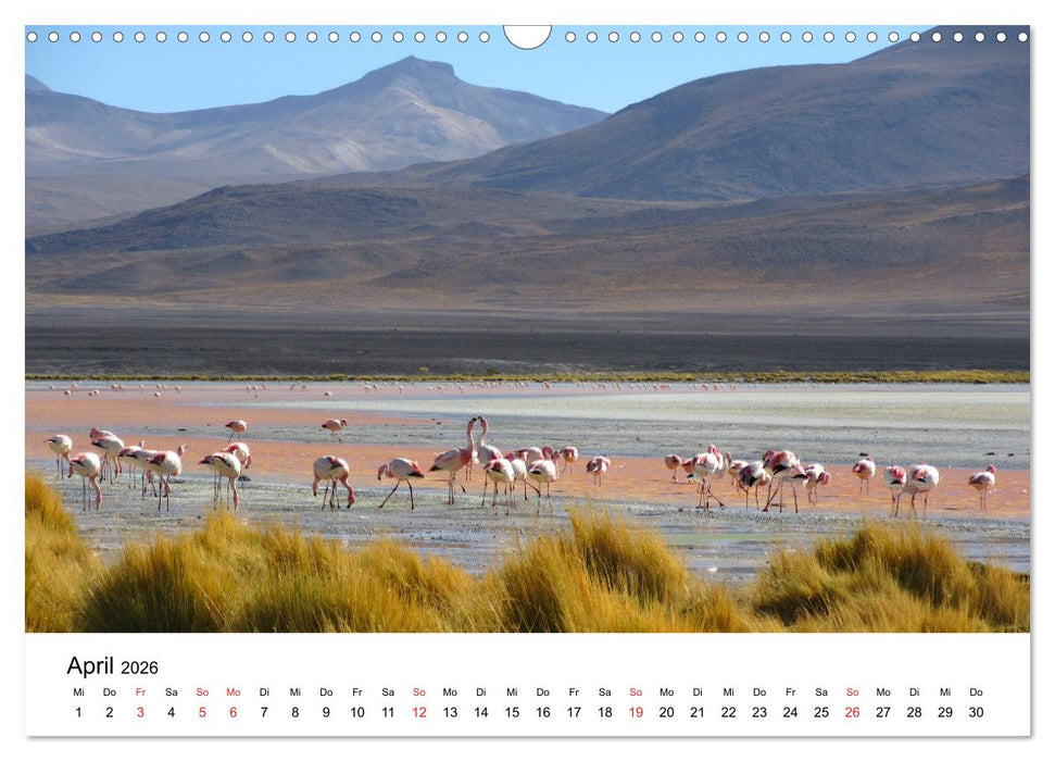 Bolivien - Die geheime Perle Südamerikas (CALVENDO Wandkalender 2026)