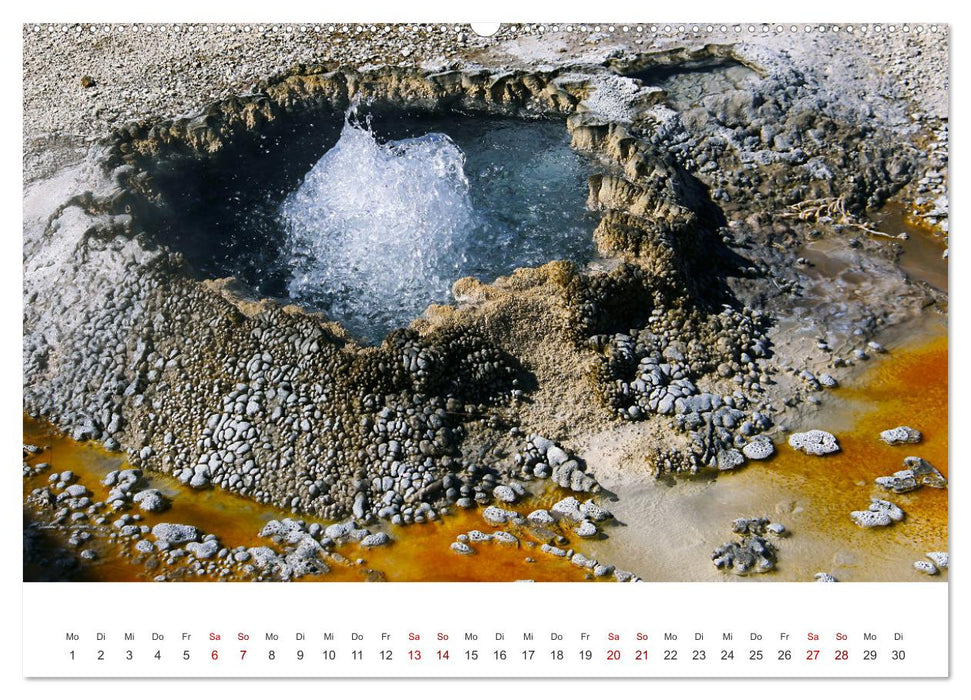 Im Farbenspiel des Yellowstone Natl. Park (CALVENDO Premium Wandkalender 2026)