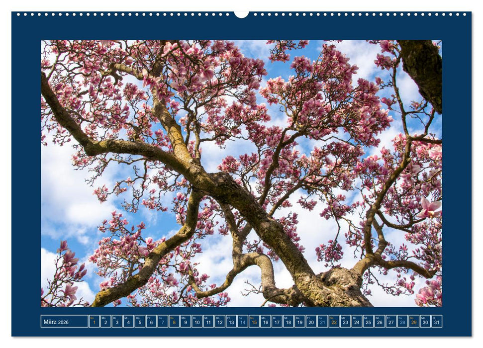 Magdeburg (CALVENDO Premium Wandkalender 2026)