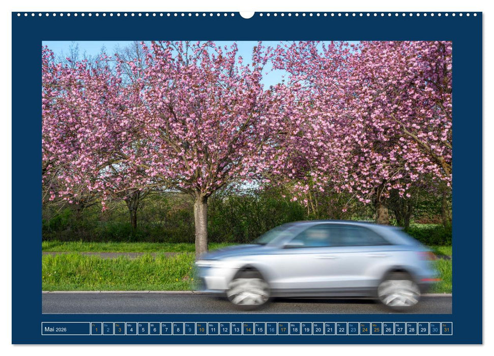 Magdeburg (CALVENDO Premium Wandkalender 2026)