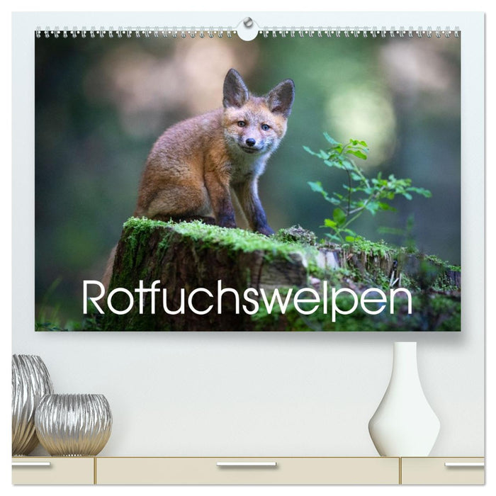 Rotfuchswelpen (CALVENDO Premium Wandkalender 2026)