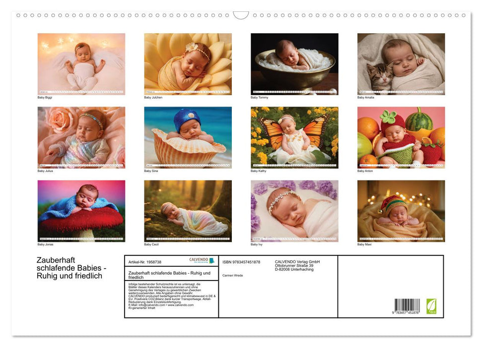 Zauberhaft schlafende Babies - Ruhig und friedlich (CALVENDO Wandkalender 2026)