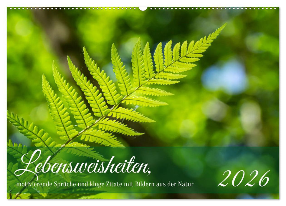 Lebensweisheiten, motivierende Sprüche und kluge Zitate mit Bildern der Natur (CALVENDO Wandkalender 2026)