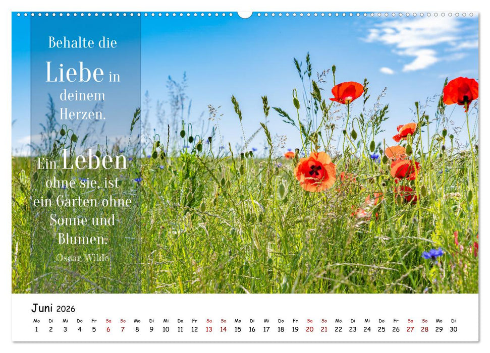 Lebensweisheiten, motivierende Sprüche und kluge Zitate mit Bildern der Natur (CALVENDO Wandkalender 2026)