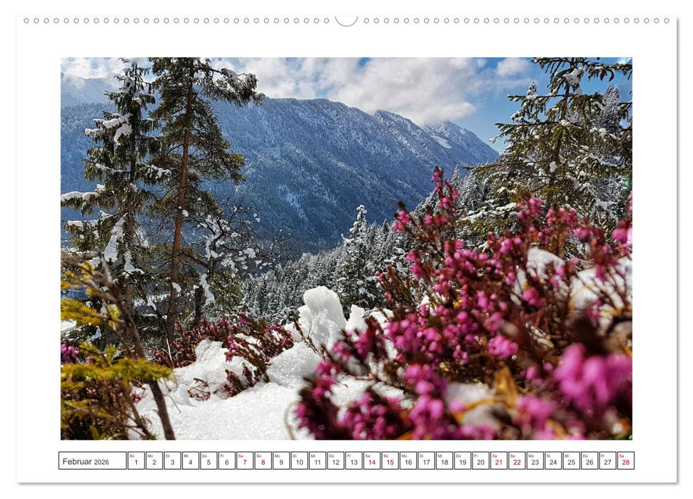 Natur Momente (CALVENDO Premium Wandkalender 2026)