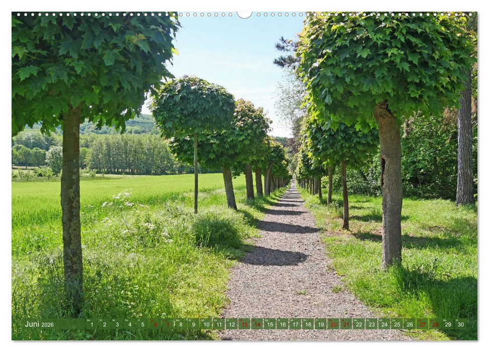 Bad Nenndorf, Kurpark-Impressionen (CALVENDO Premium Wandkalender 2026)