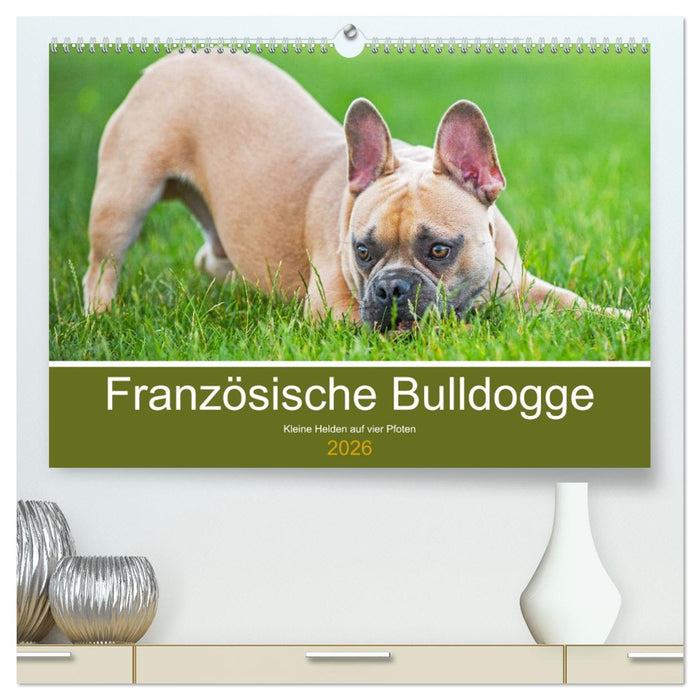 Französische Bulldogge - Kleine Helden auf vier Pfoten (CALVENDO Premium Wandkalender 2026)