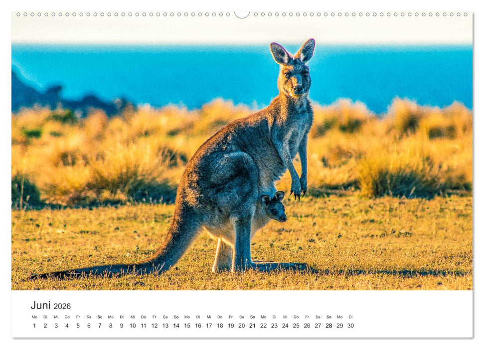Faszination Australien - Impressionen vom Land Down Under (CALVENDO Premium Wandkalender 2026)