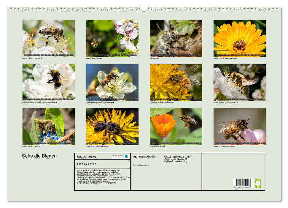 Sehe die Bienen (CALVENDO Wandkalender 2026)