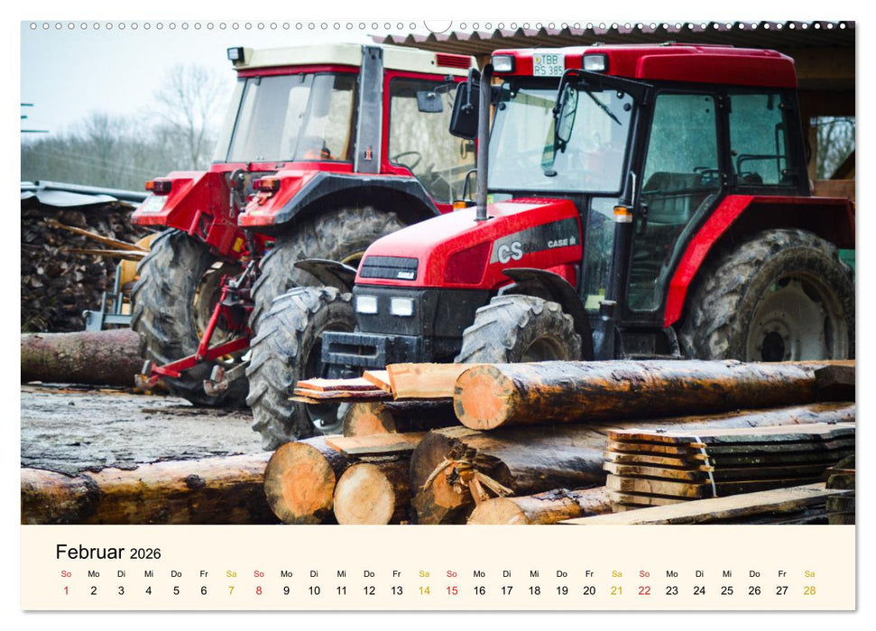 Faszination Holz (CALVENDO Premium Wandkalender 2026)