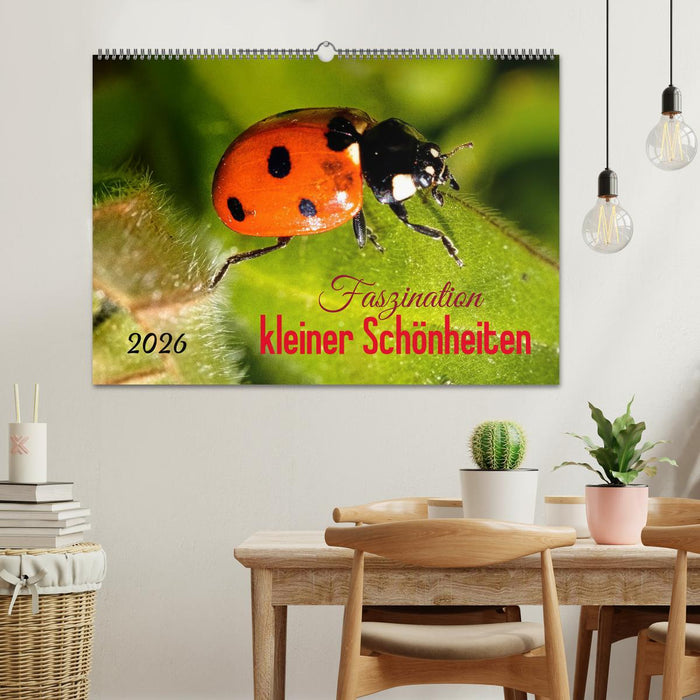 Faszination kleiner Schönheiten (CALVENDO Wandkalender 2026)
