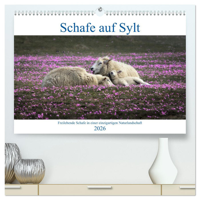 Schafe auf Sylt (CALVENDO Premium Wandkalender 2026)
