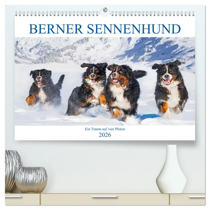 Berner Sennenhund - Ein Traum auf vier Pfoten (CALVENDO Premium Wandkalender 2026)