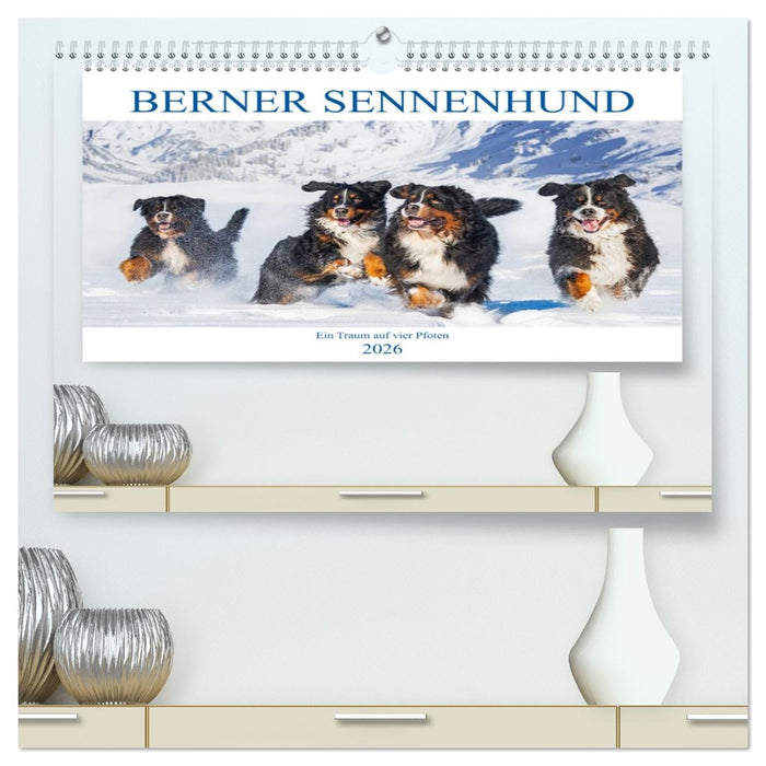 Berner Sennenhund - Ein Traum auf vier Pfoten (CALVENDO Premium Wandkalender 2026)