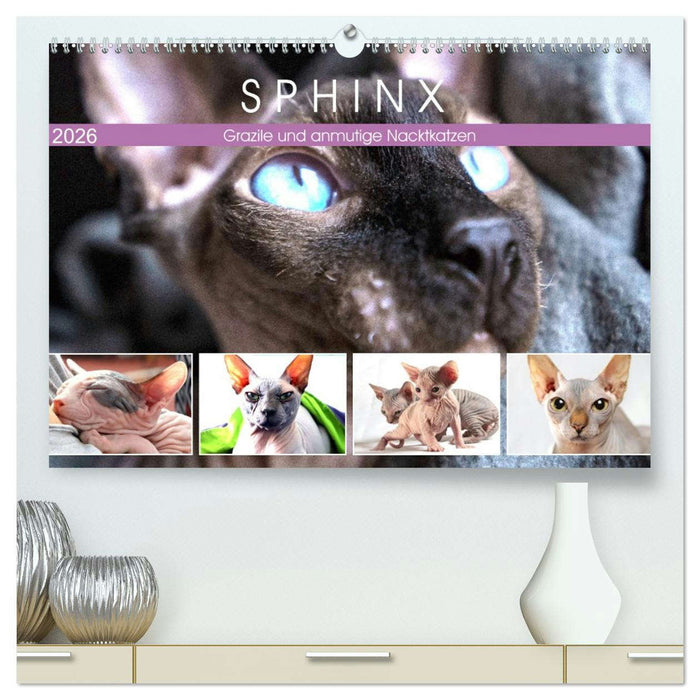 Sphinx. Grazile und anmutige Nacktkatzen (CALVENDO Premium Wandkalender 2026)