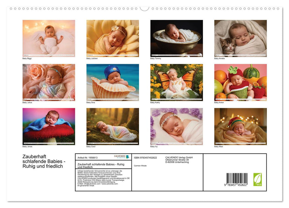 Zauberhaft schlafende Babies - Ruhig und friedlich (CALVENDO Premium Wandkalender 2026)