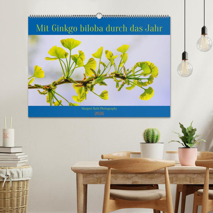 Mit Ginkgo biloba durch das Jahr (CALVENDO Wandkalender 2026)