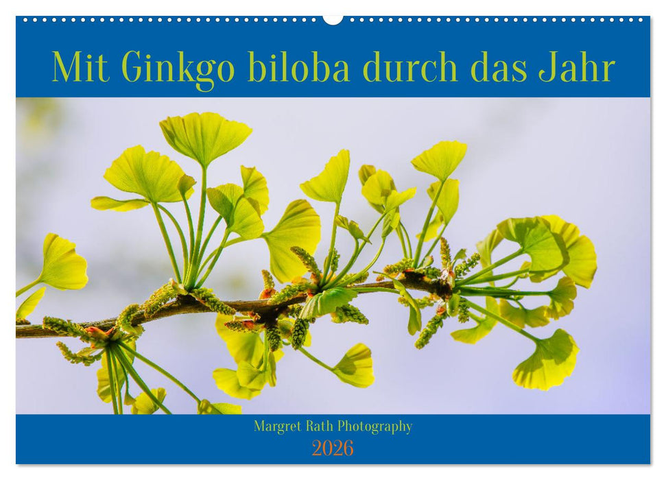 Mit Ginkgo biloba durch das Jahr (CALVENDO Wandkalender 2026)