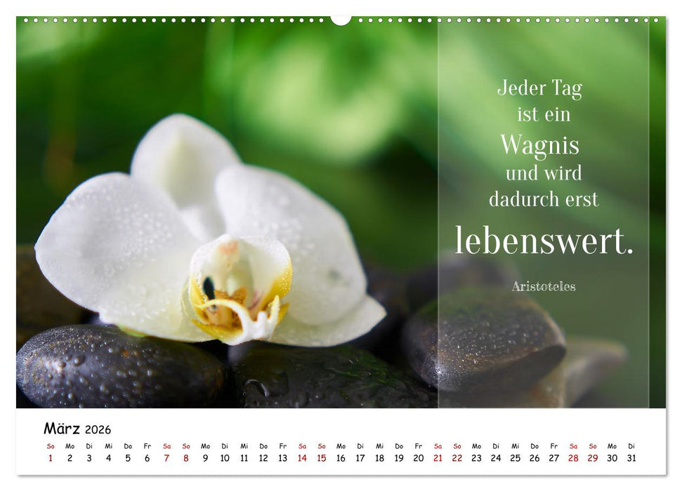 Lebensweisheiten, motivierende Sprüche und kluge Zitate mit Bildern der Natur (CALVENDO Premium Wandkalender 2026)
