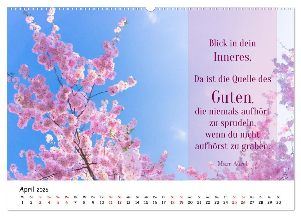 Lebensweisheiten, motivierende Sprüche und kluge Zitate mit Bildern der Natur (CALVENDO Premium Wandkalender 2026)