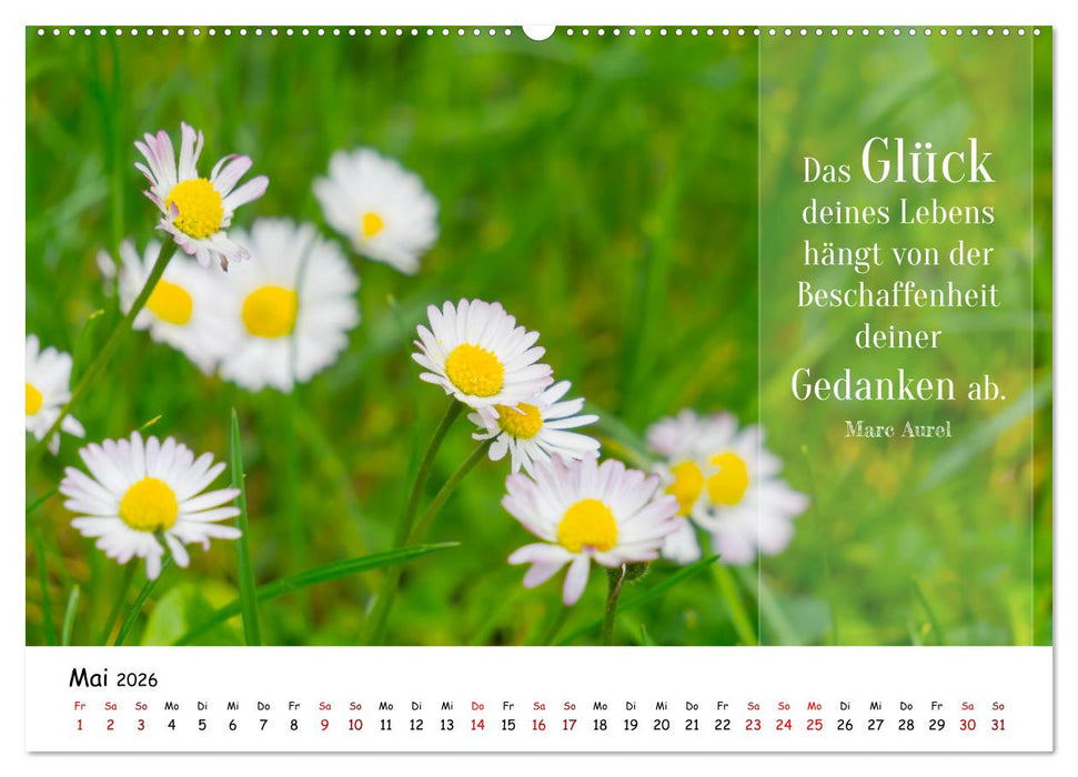 Lebensweisheiten, motivierende Sprüche und kluge Zitate mit Bildern der Natur (CALVENDO Premium Wandkalender 2026)