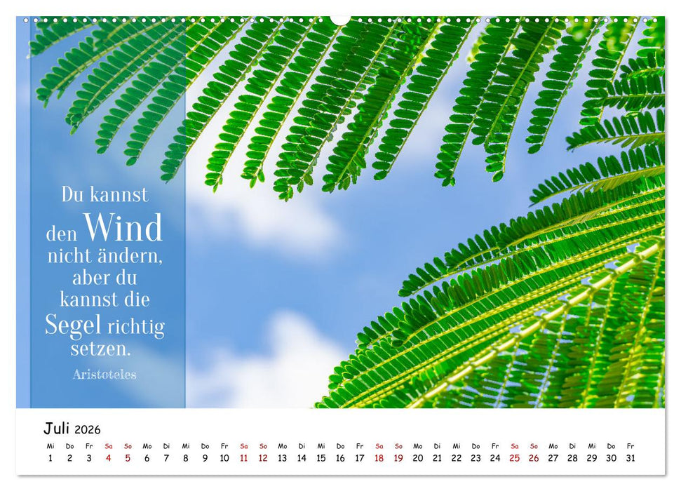 Lebensweisheiten, motivierende Sprüche und kluge Zitate mit Bildern der Natur (CALVENDO Premium Wandkalender 2026)