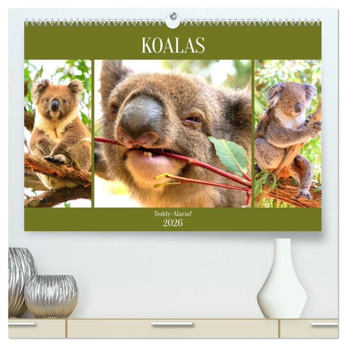 Koalas. Teddy-Alarm! (CALVENDO Premium Wandkalender 2026)