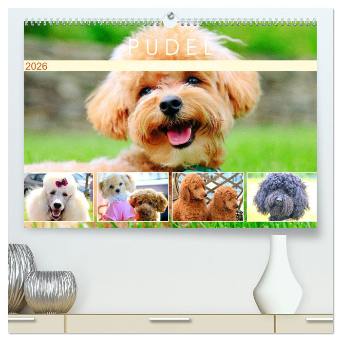 Pudel. Lustige Allrounder im Wollfell (CALVENDO Premium Wandkalender 2026)