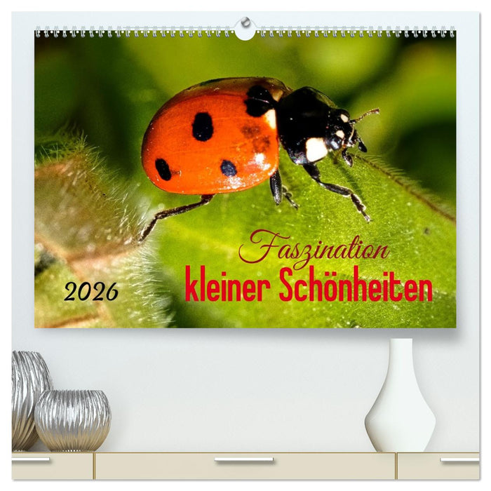 Faszination kleiner Schönheiten (CALVENDO Premium Wandkalender 2026)