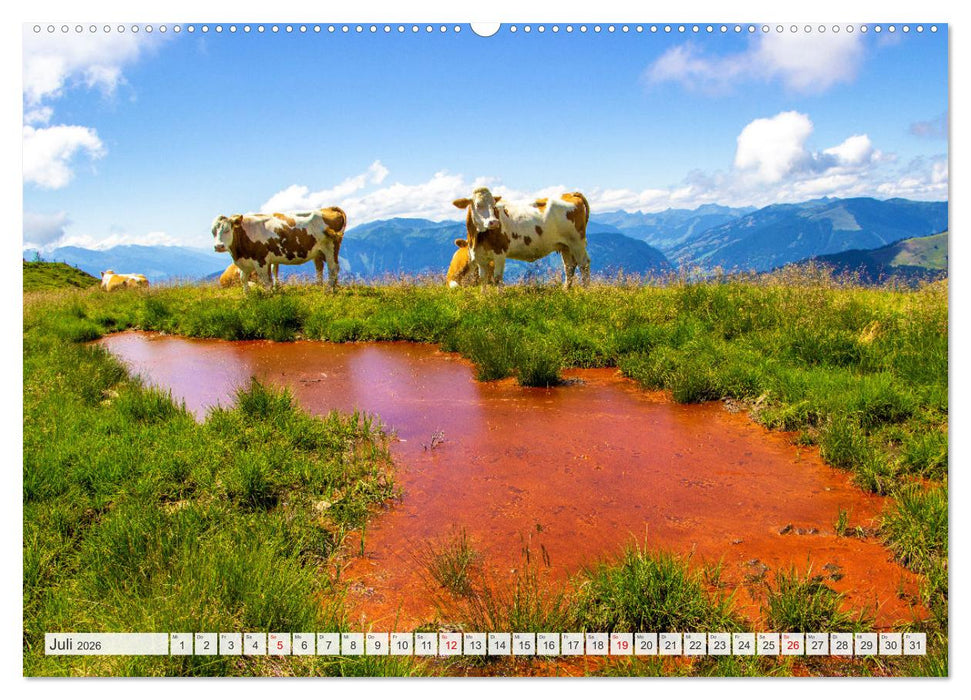 Maria Alm - Hinterthal - Hintermoos (CALVENDO Premium Wandkalender 2026)