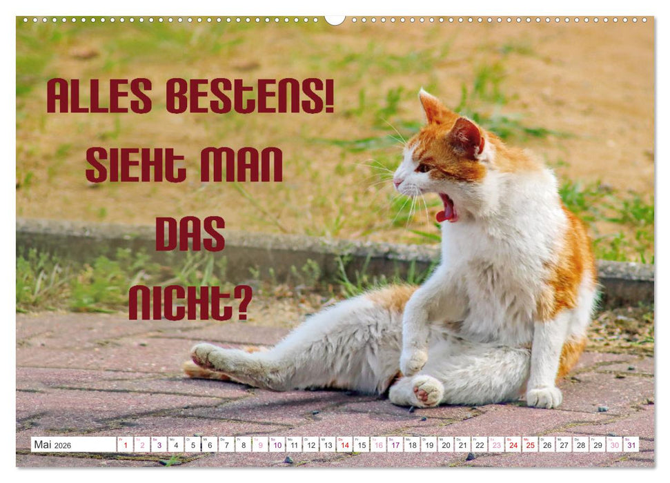 Heute schon Prinzen geküsst? Spruchkalender (CALVENDO Premium Wandkalender 2026)