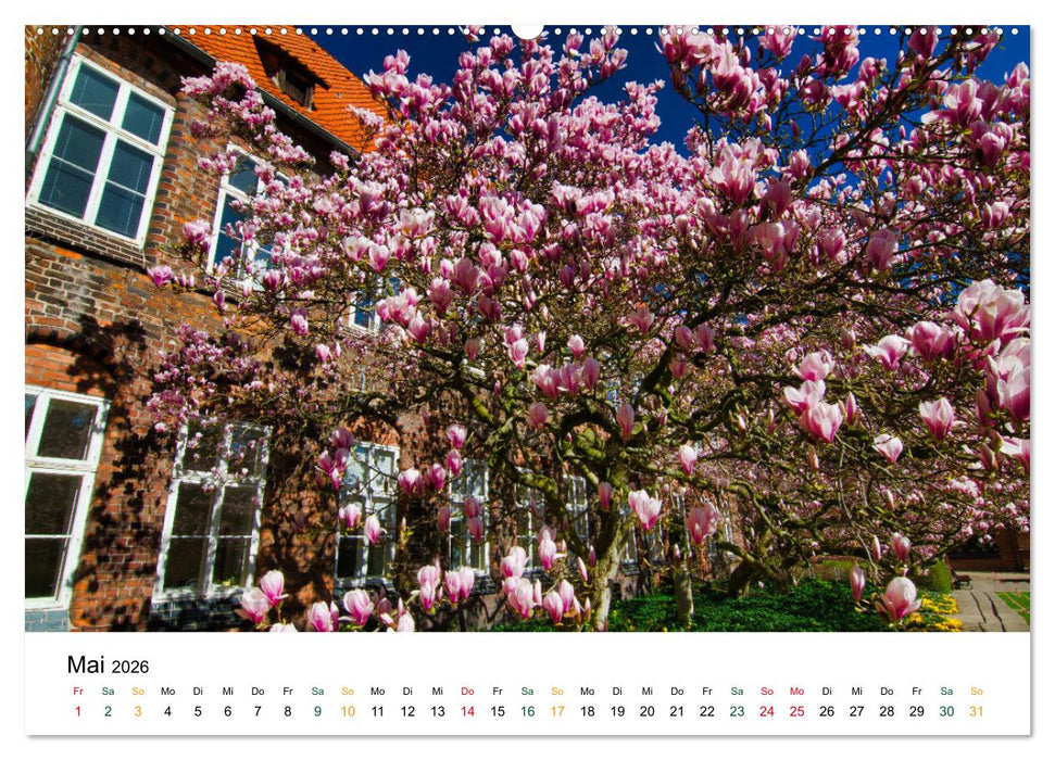 Lüneburg (CALVENDO Premium Wandkalender 2026)