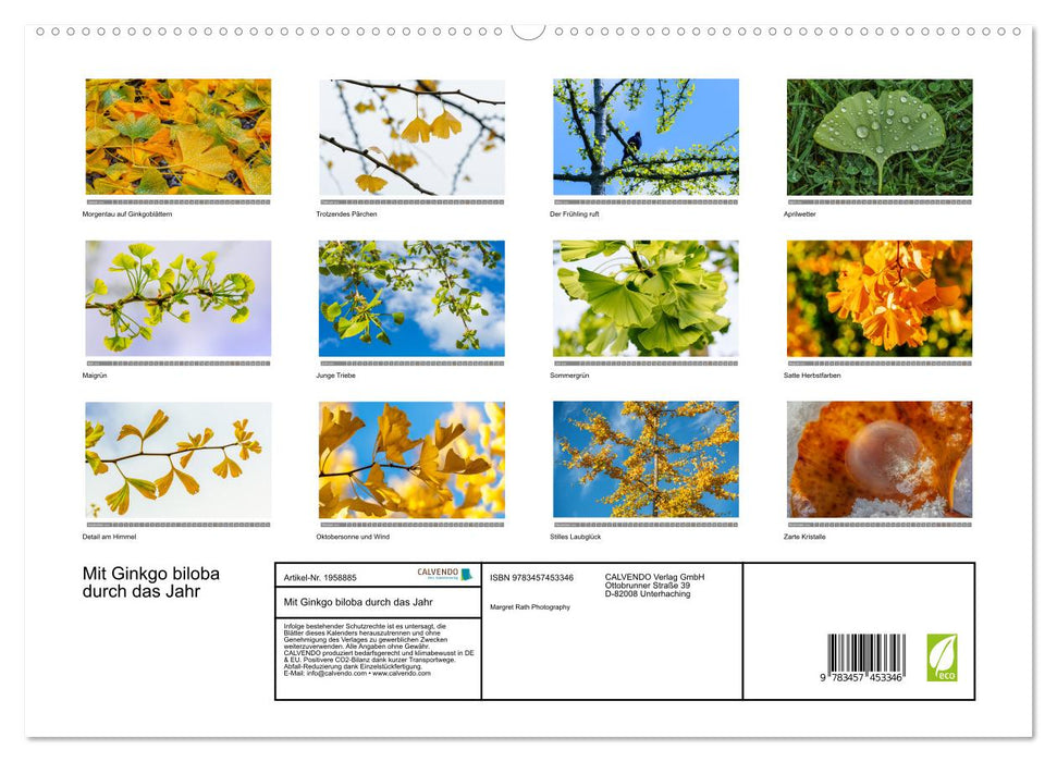 Mit Ginkgo biloba durch das Jahr (CALVENDO Premium Wandkalender 2026)