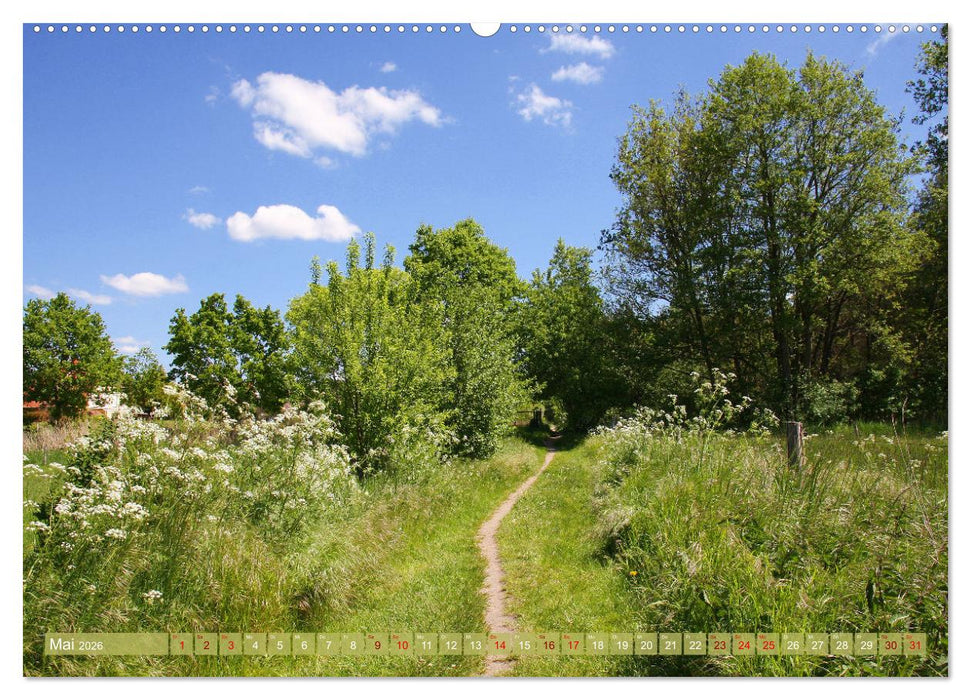 Brandenburg - schöne Ausflugsziele südlich von Berlin (CALVENDO Premium Wandkalender 2026)