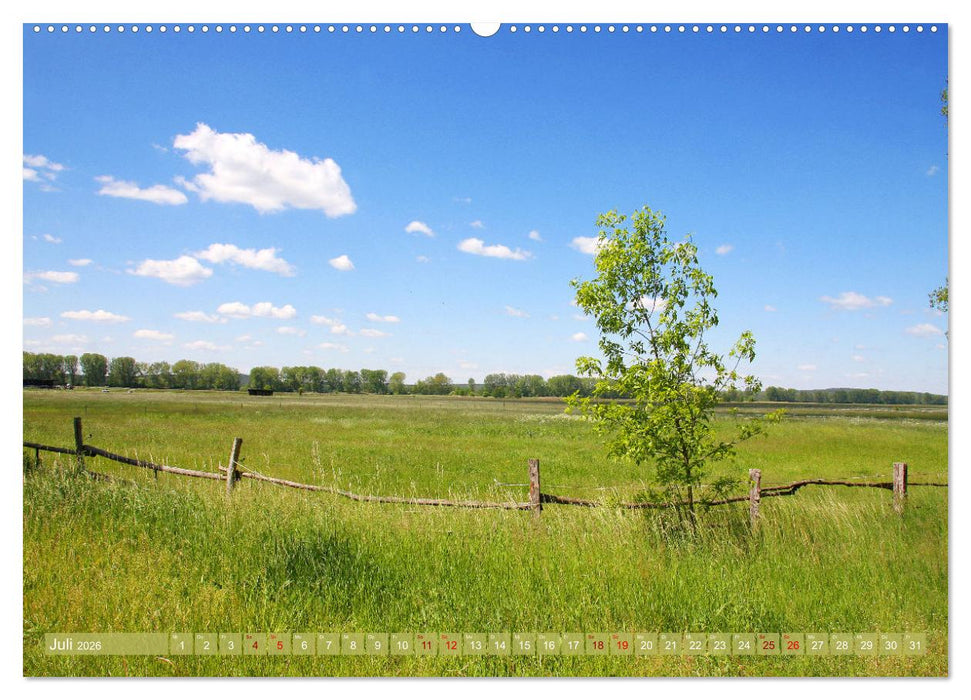 Brandenburg - schöne Ausflugsziele südlich von Berlin (CALVENDO Premium Wandkalender 2026)
