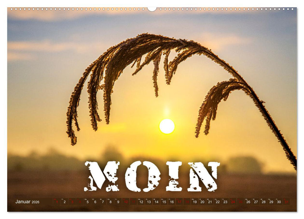 Sehnsucht zum Meer (CALVENDO Premium Wandkalender 2026)