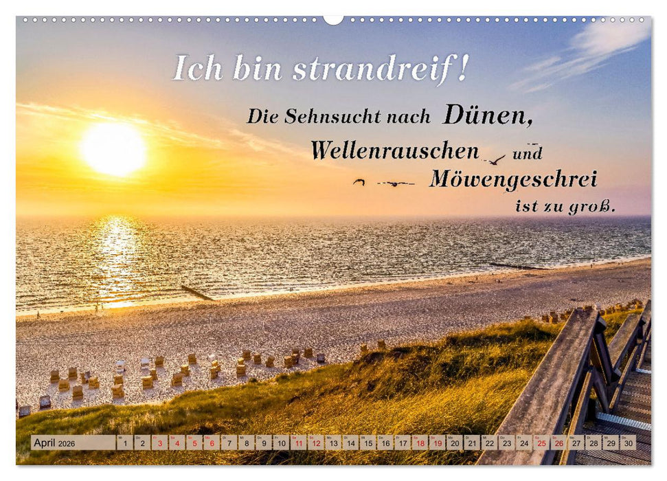 Sehnsucht zum Meer (CALVENDO Premium Wandkalender 2026)