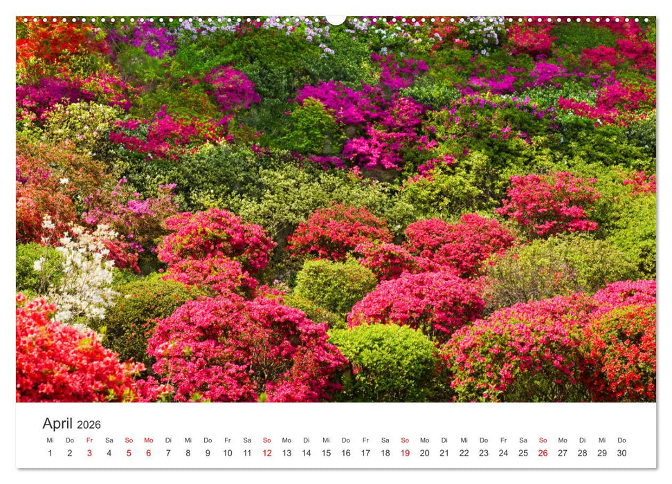 Gärten in Japan (CALVENDO Premium Wandkalender 2026)
