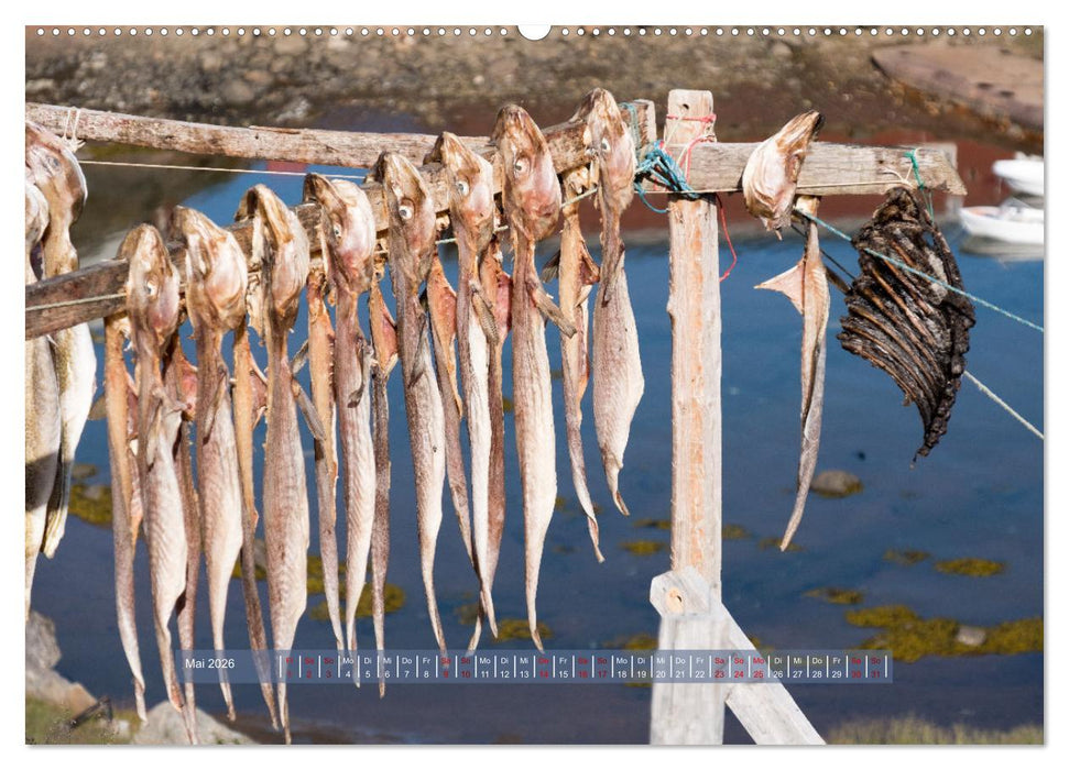 Tasiilaq - Ein kurzer Sommer in Ostgrönland (CALVENDO Premium Wandkalender 2026)