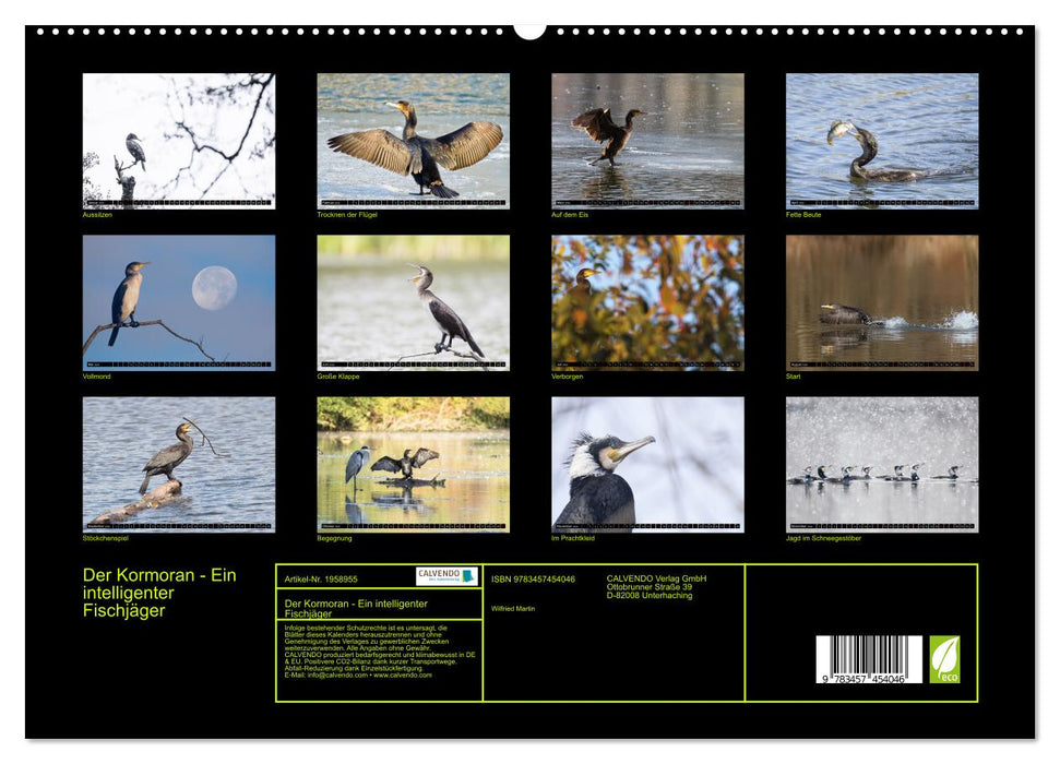 Der Kormoran - Ein intelligenter Fischjäger (CALVENDO Premium Wandkalender 2026)