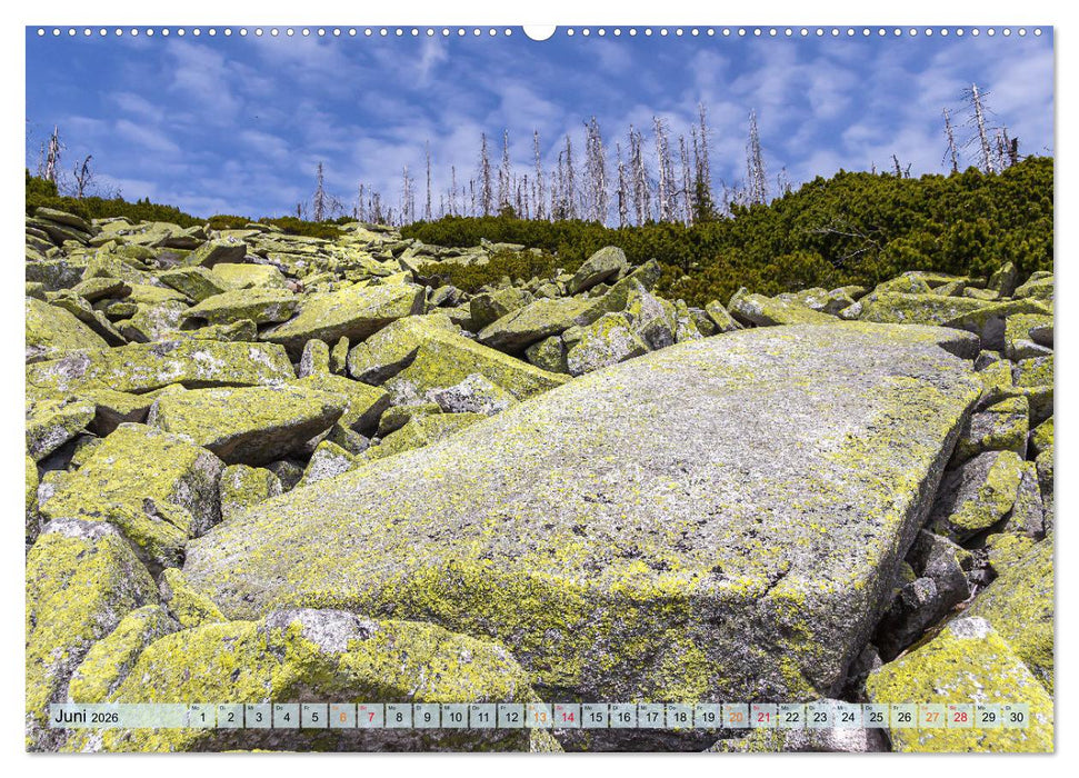 Bayer-Woid-Buidl (CALVENDO Premium Wandkalender 2026)